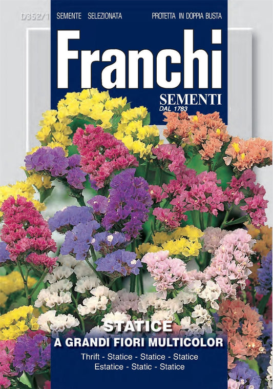 Franchi Seeds of Italy - Flower - FDBF_ 352-1 - Statice - Grandi Fiori - Mix - Seeds