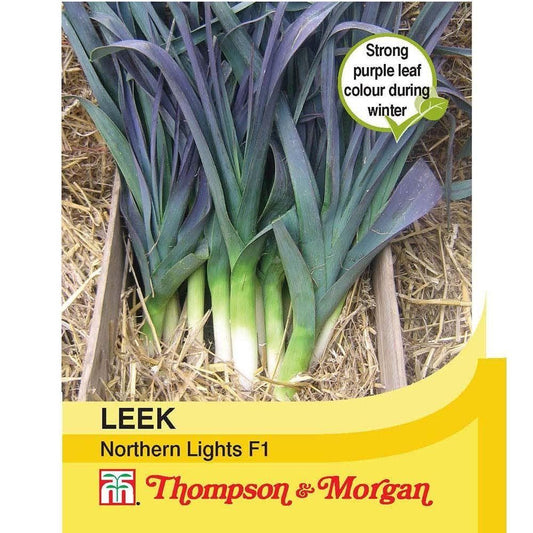 Thompson & Morgan Leek Northern Lights F1 Hybrid 45 Seed