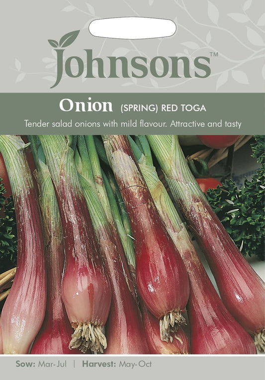 Johnsons Spring Onion Red Toga 300 Seeds