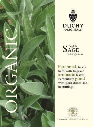 Thompson & Morgan Duchy Original Organic Herb English Sage 60 Seed