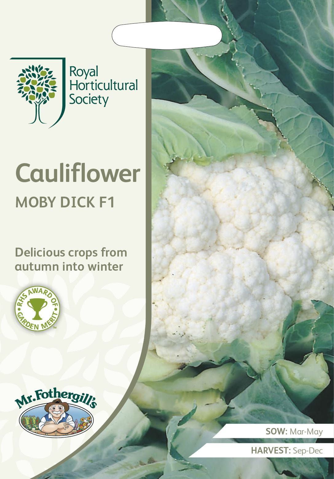 Mr Fothergills RHS Cauliflower Moby Dick F1 30 Seeds