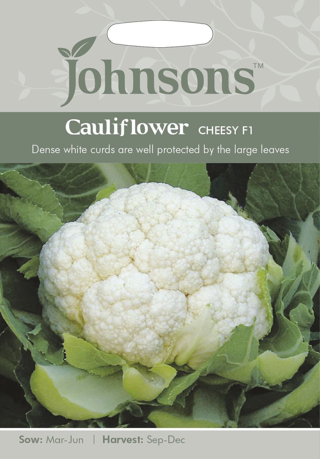 Johnsons Vegetable Cauliflower Cheesy F1 50 Seeds