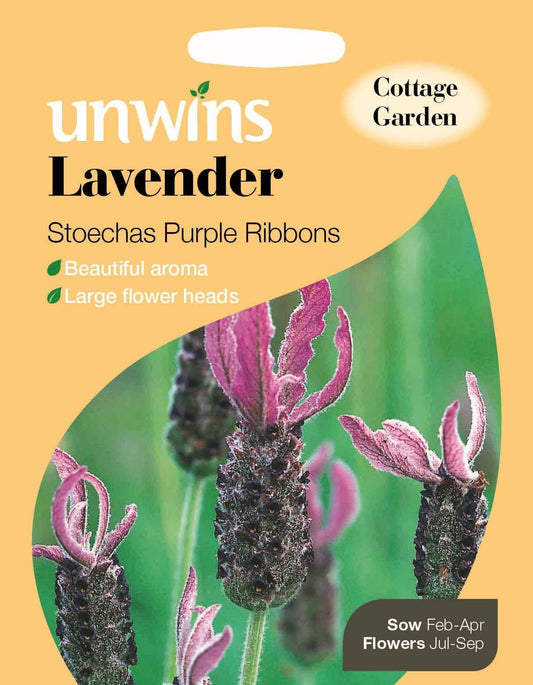 Unwins Lavender Stoechas Purple Ribbons 20 Seeds