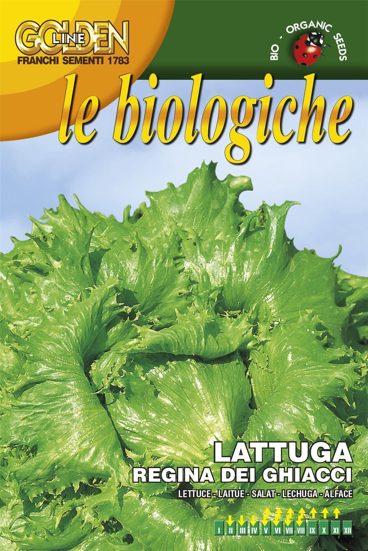Franchi Organic BIOB86/8 Lettuce Regina Ghiacci 4000 Seeds