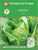 Thompson & Morgan RHS Lettuce Tantan 200 Seed