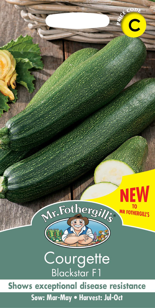 Mr Fothergills - Vegetable - Courgette - Blackstar F1 - 10 Seeds