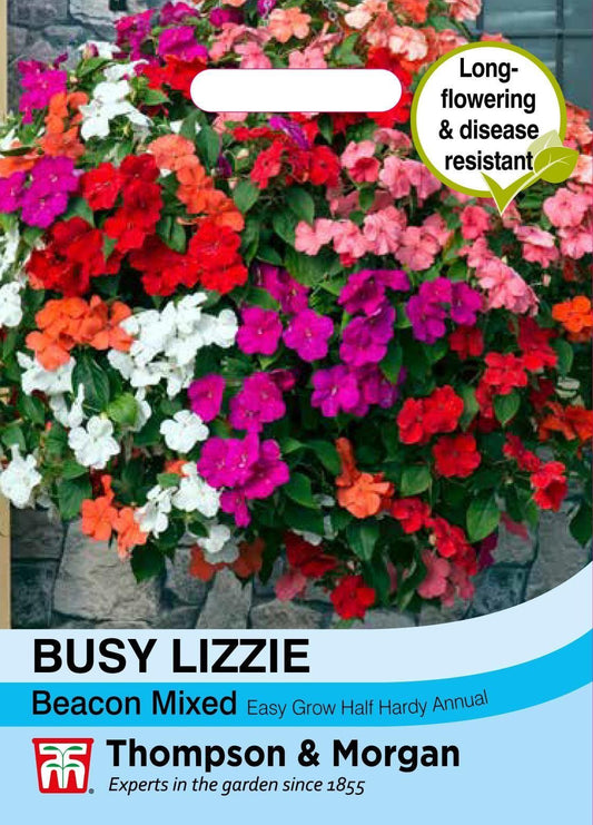 Thompson & Morgan Flower Busy Lizzie Beacon Mixed - 25 Seeds