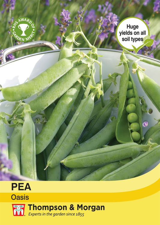 Thompson & Morgan Pea Oasis 200 Seed