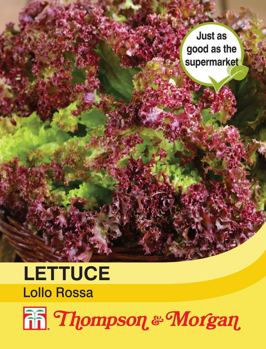 Thompson & Morgan Lettuce Lollo Rossa 250 Seed
