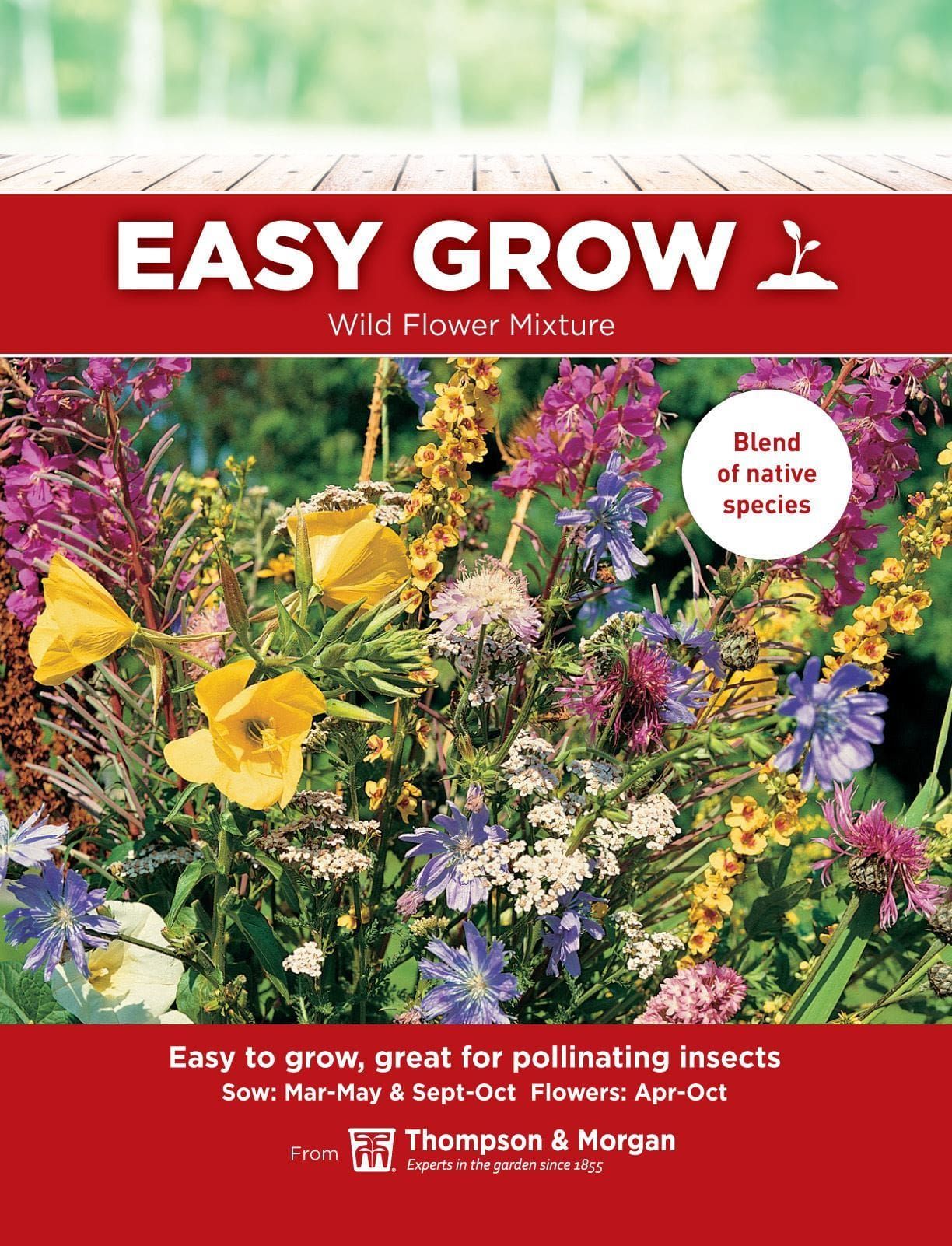 Thompson & Morgan - EasyGrow - Flower - Wild Flower Mixture - 1 Seeds