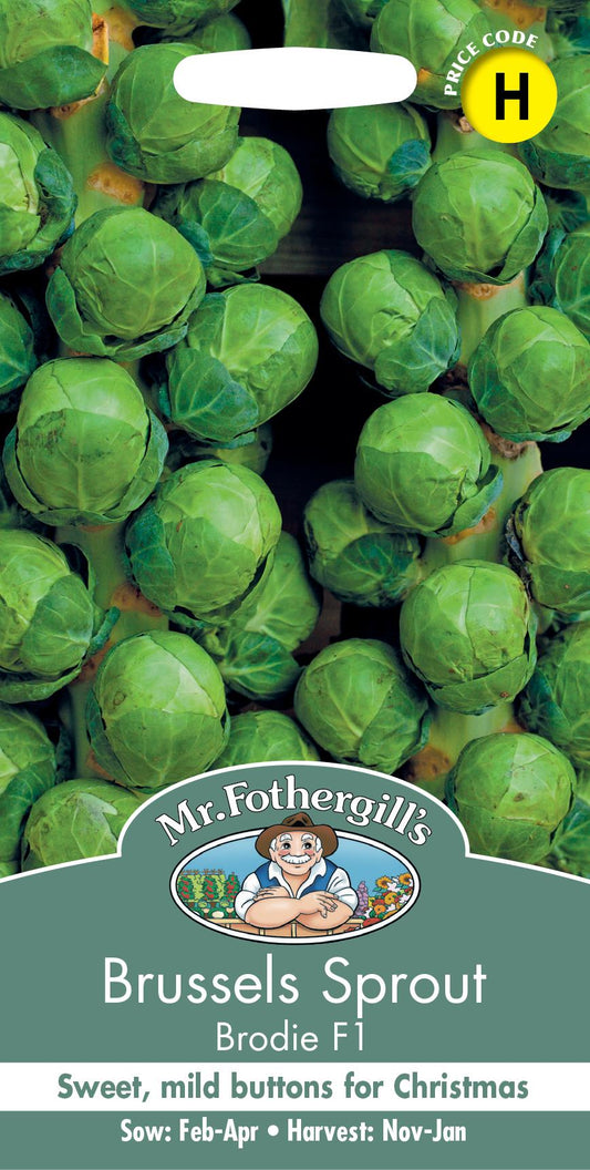 Mr Fothergills - Vegetable - Brussels Sprout - Brodie F1 - 40 Seeds