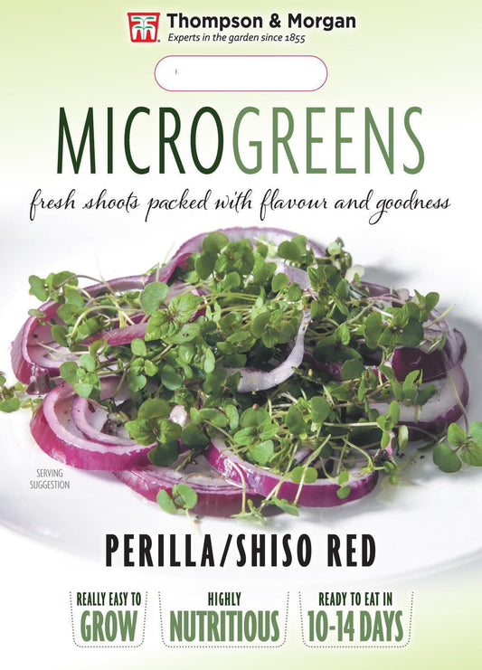 Thompson & Morgan Vegetable Microgreens Perilla/Shiso Red  - 250 Seeds