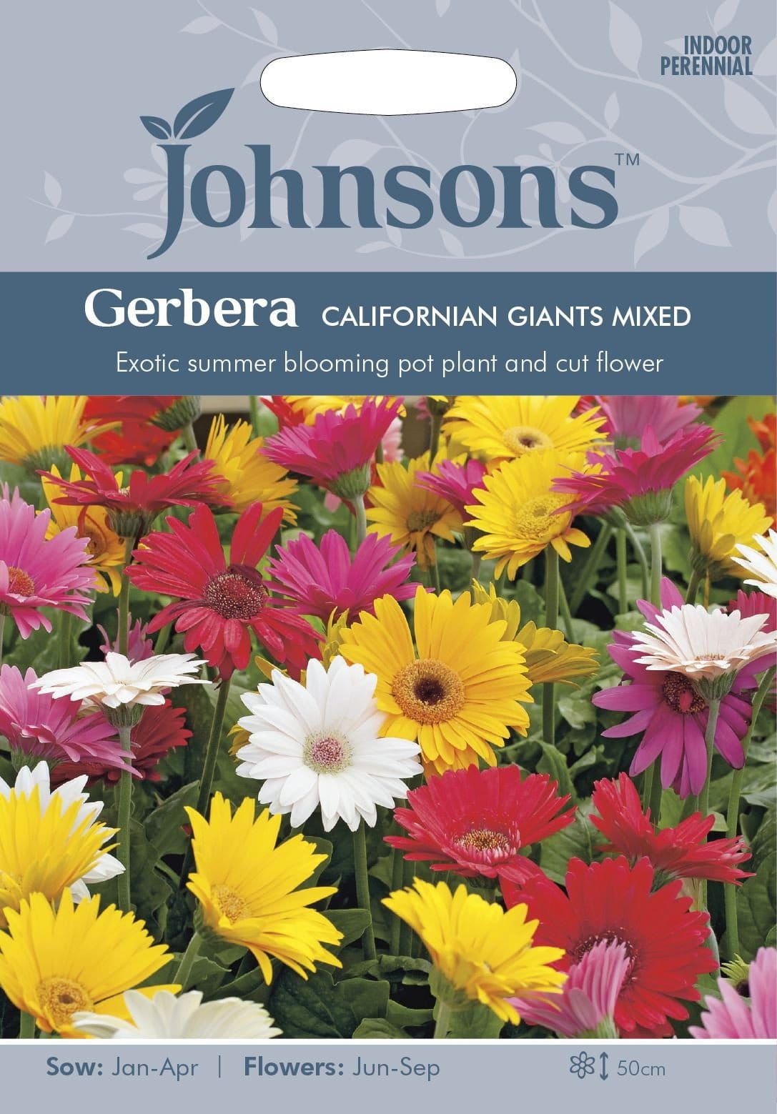 Johnsons Gerbera California Giants Mixed 25 Seeds