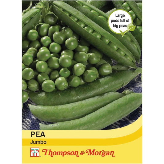 Thompson & Morgan Pea Jumbo 250 Seed