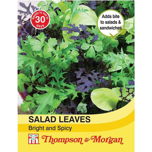 Thompson & Morgan Salad Leaves Bright And Spicy 750 Seed