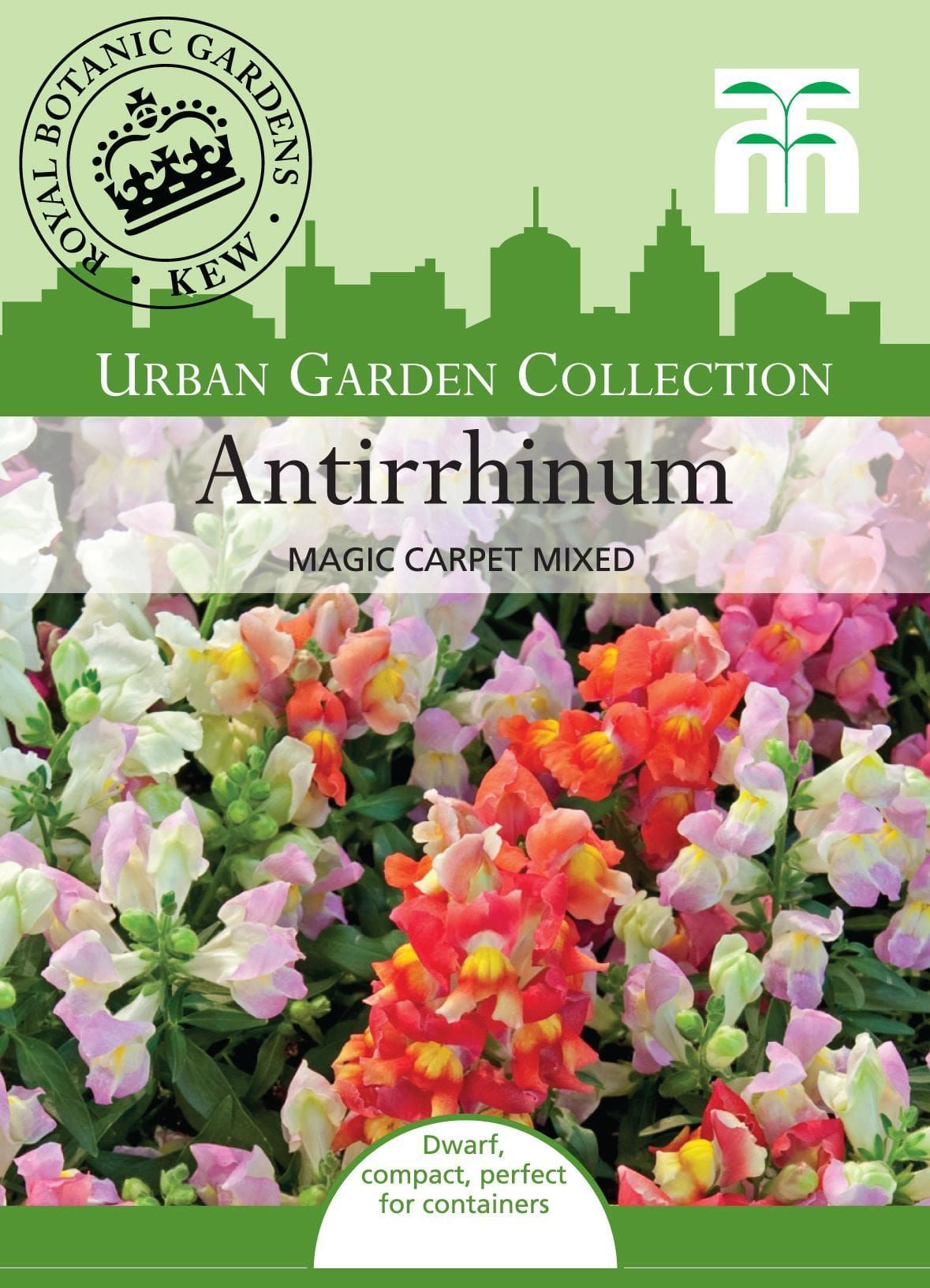 Thompson & Morgan Urban Garden Flowers Antirrhinum Magic Carpet 1500 Seed