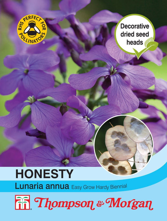 Thompson & Morgan Honesty (Lunaria Or Silver Dollar) 50 Seed
