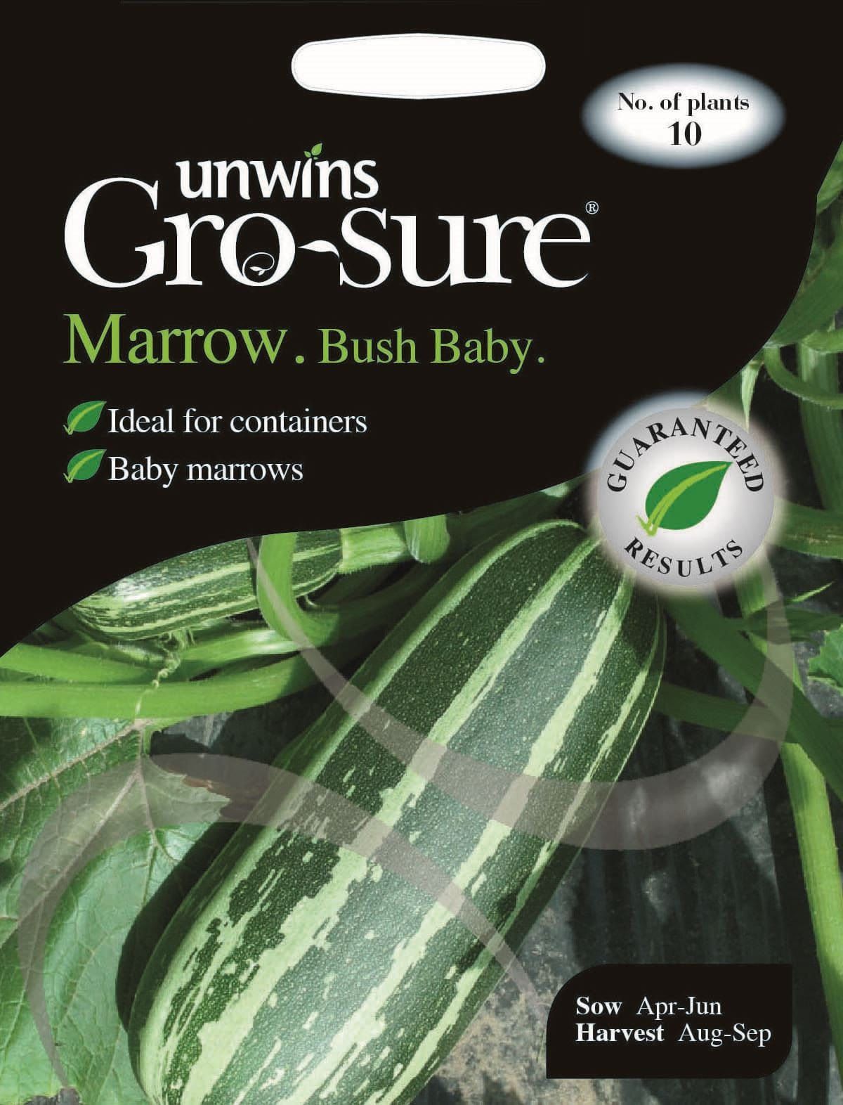 Unwins Marrow Bush Baby 10 Seeds