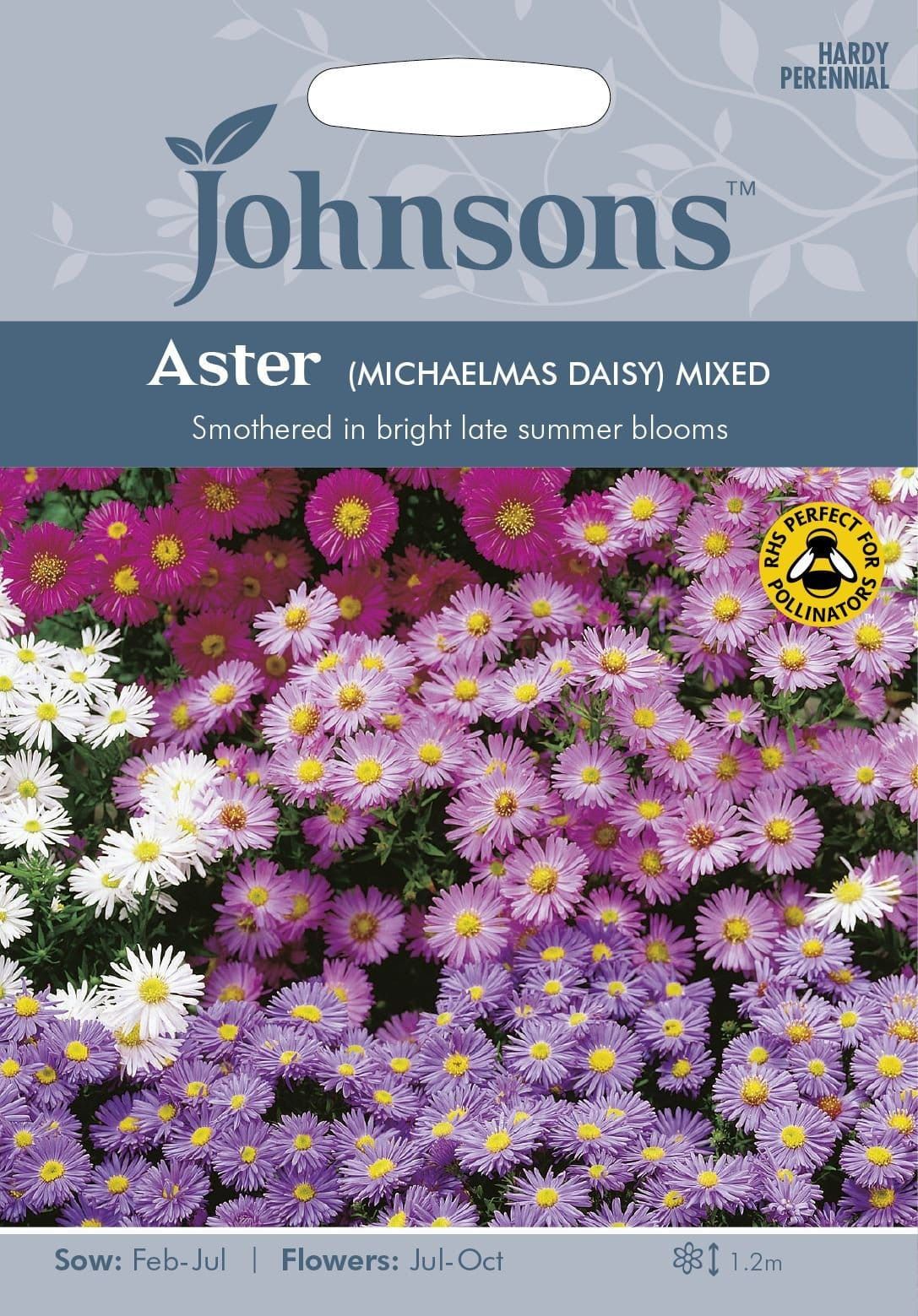 Johnsons Aster Michaelmas Daisy Mixed 200 Seeds
