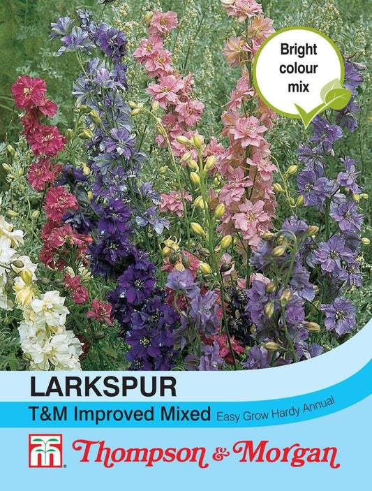Thompson & Morgan Larkspur T&M Improved Mix Seed