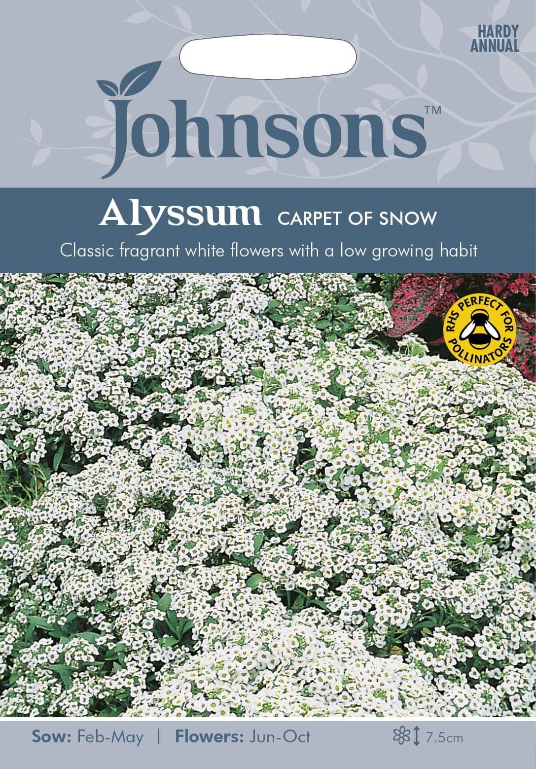 Johnsons Alyssum Carpet of Snow 1250 Seeds