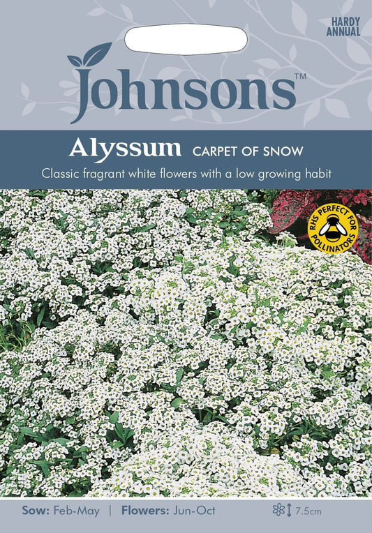 Johnsons Alyssum Carpet of Snow 1250 Seeds