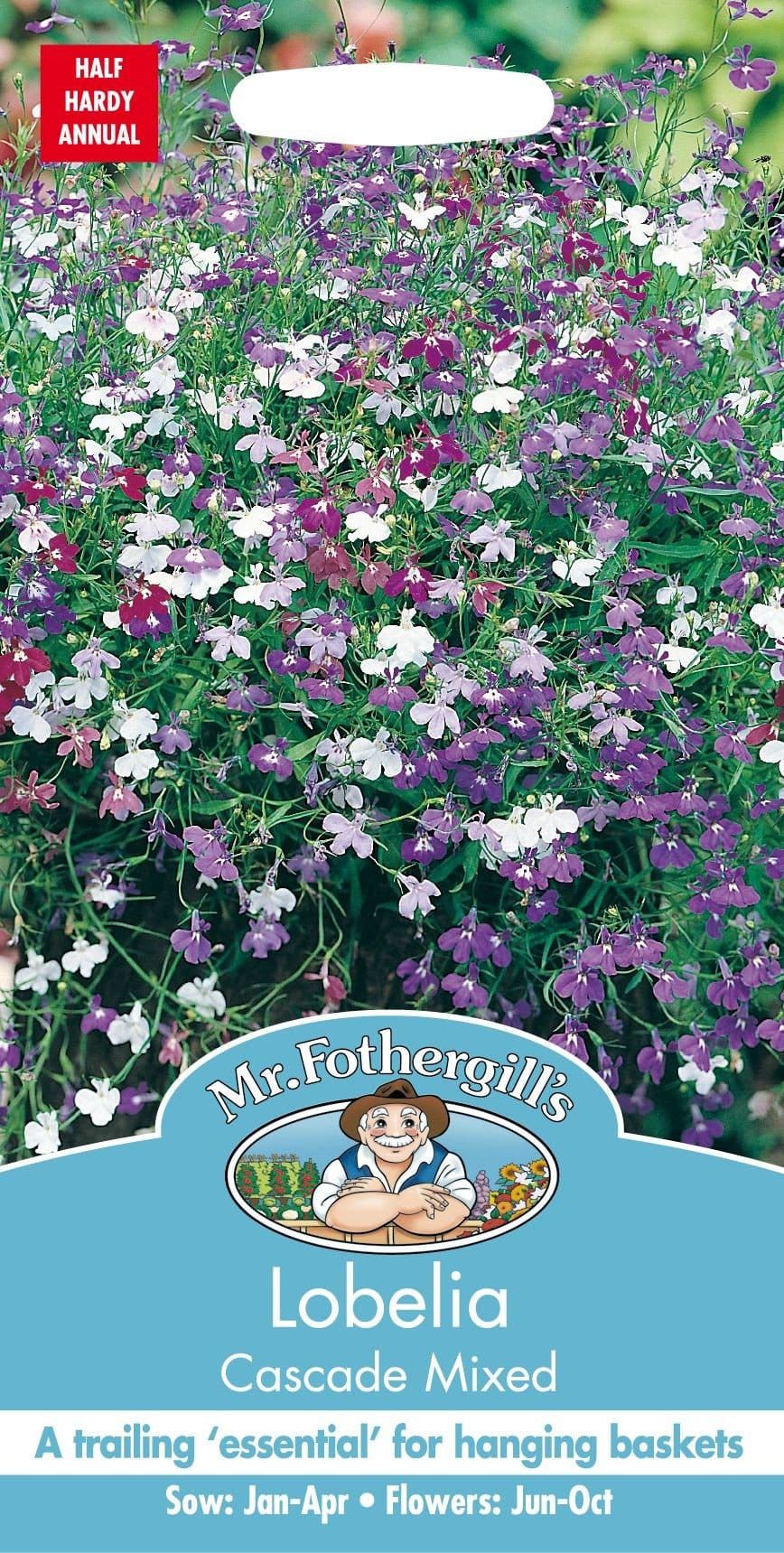 Mr Fothergills Lobelia Cascade Mixed 1500 Seeds