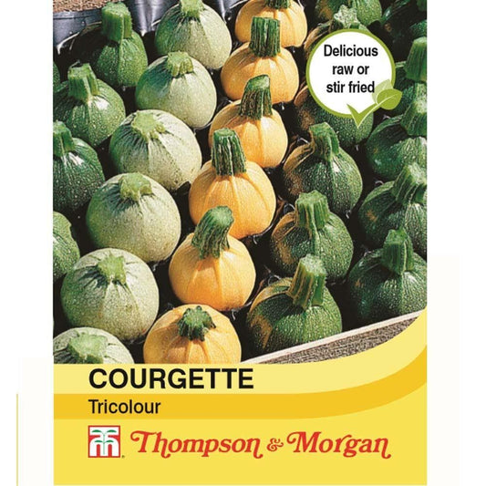 Thompson & Morgan Courgette Tricolour F1 6 Seed