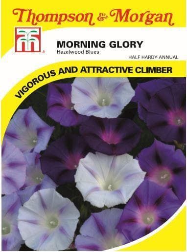 Thompson & Morgan Flower Morning Glory Hazelwood Blues 35 Seed
