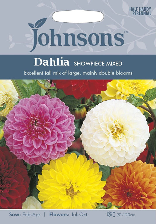 Johnsons Dahlia Showpiece Mixed 40 Seeds