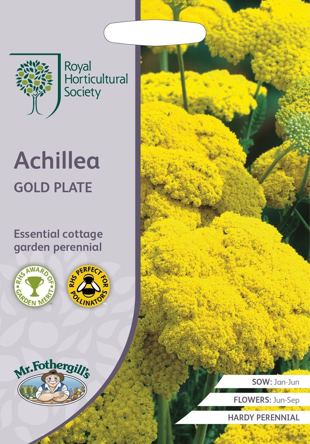 Mr Fothergills RHS Achillea Gold Plate 500 Seeds