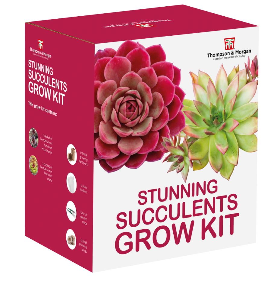Thompson & Morgan - Grow Kit - Sempervivum - Includes 2 Different Seed Packets