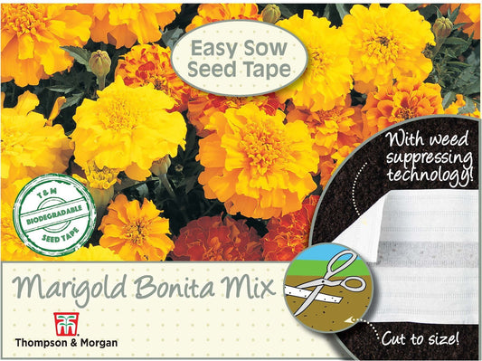 Thompson & Morgan - Flower Seed Tape - Marigold - Bonita Mixed (French) Mixed Seed Tape