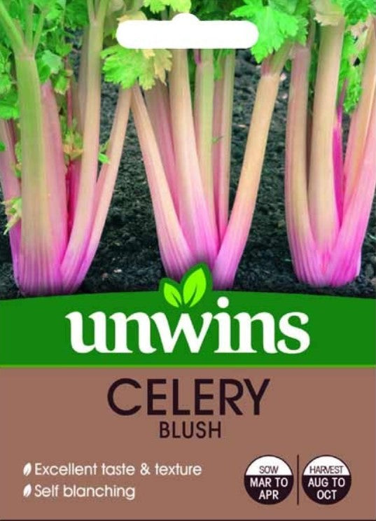 Unwins Celery Blush 100 Seeds