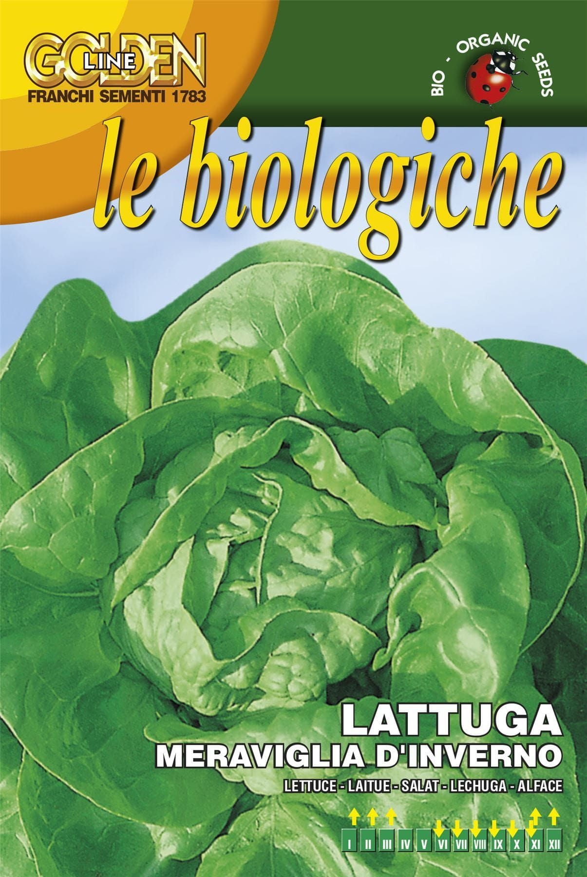 Franchi Organic BIOB79/2 Lettuce Meraviglia D'Inverno Seeds