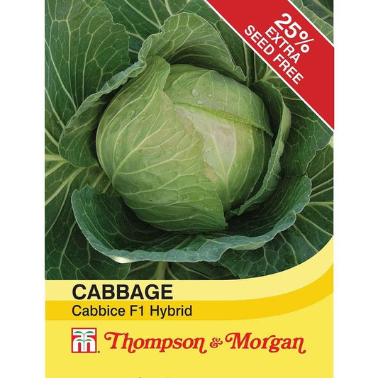 Thompson & Morgan - Vegetable - Cabbage - Cabbice F1 Hybrid - 30 Seeds