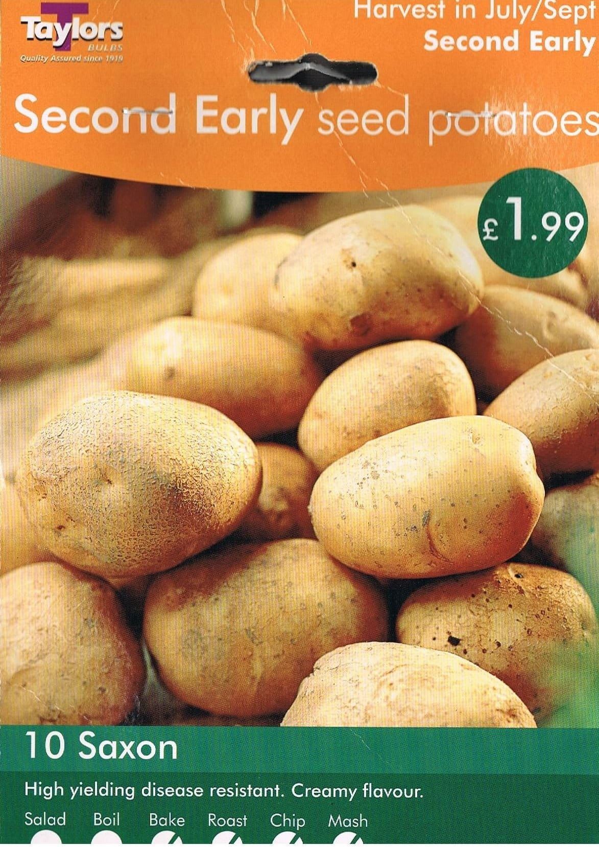 Taylors Seed Potatoes Saxon 10 Tubers Second Early