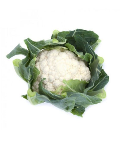 Cauliflower Chambord RZ F1 Hybrid (26 -104) Untreated Seeds