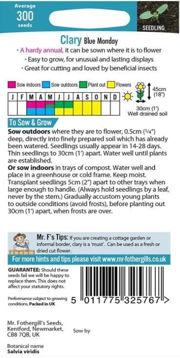 Mr Fothergills - Flower - Clary Blue Monday - 300 Seeds