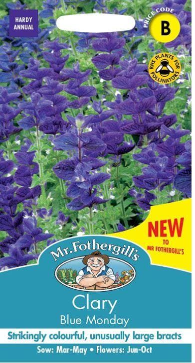 Mr Fothergills - Flower - Clary Blue Monday - 300 Seeds