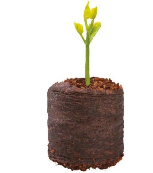 20 Coir Growing Pellets - Garland W0320