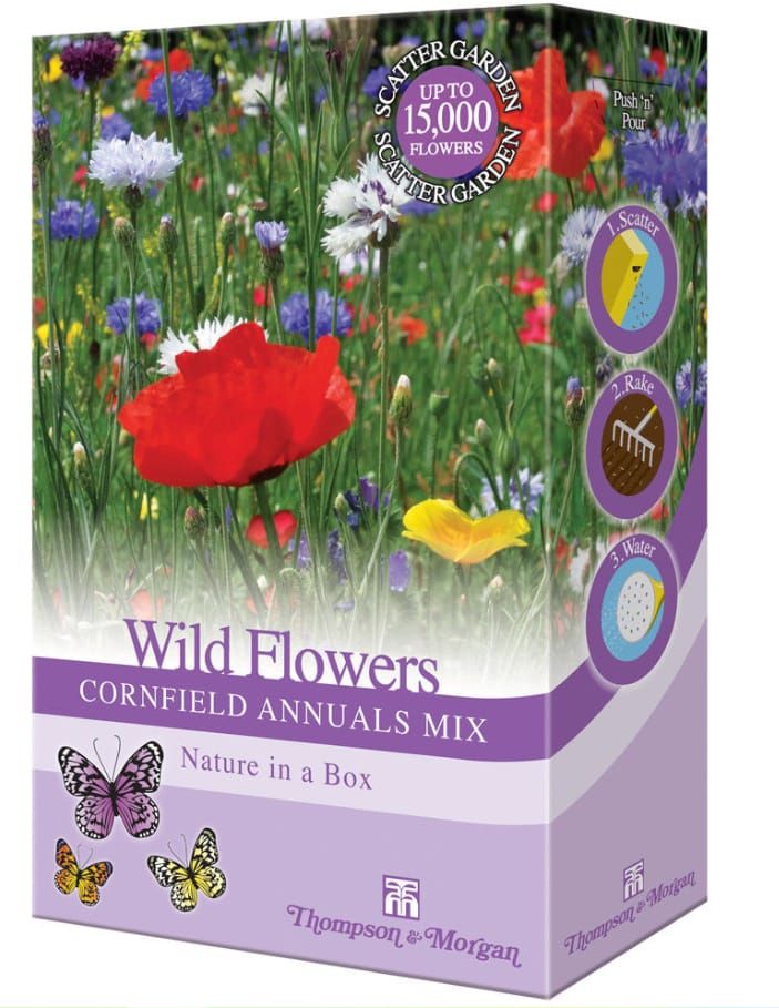 Thompson & Morgan - Wildflowers Cornfield Annual Scatter Seed Pack