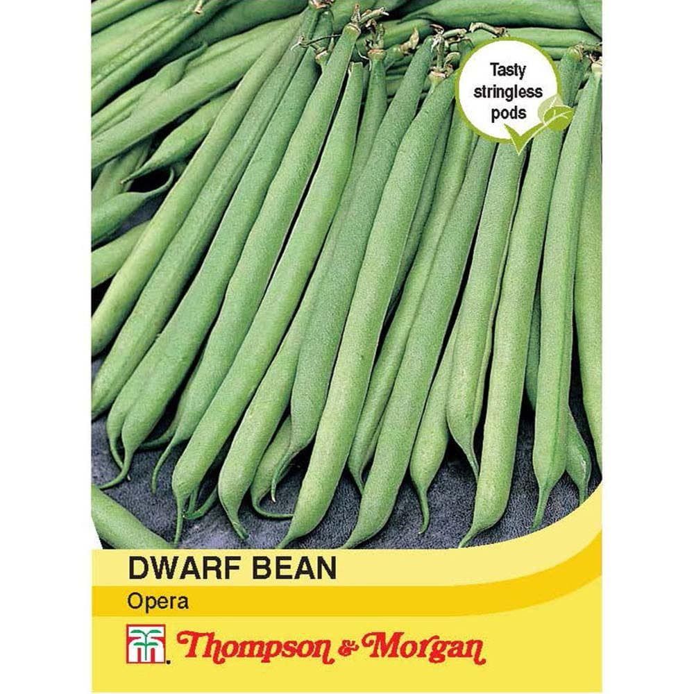 Thompson & Morgan Dwarf Bean Opera 75 Seed