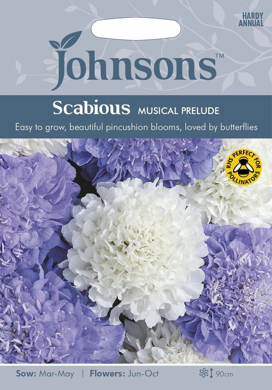 Johnsons Scabious Musical Prelude 45 Seeds