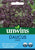 Unwins Daucus Dara Takki 50 Seeds