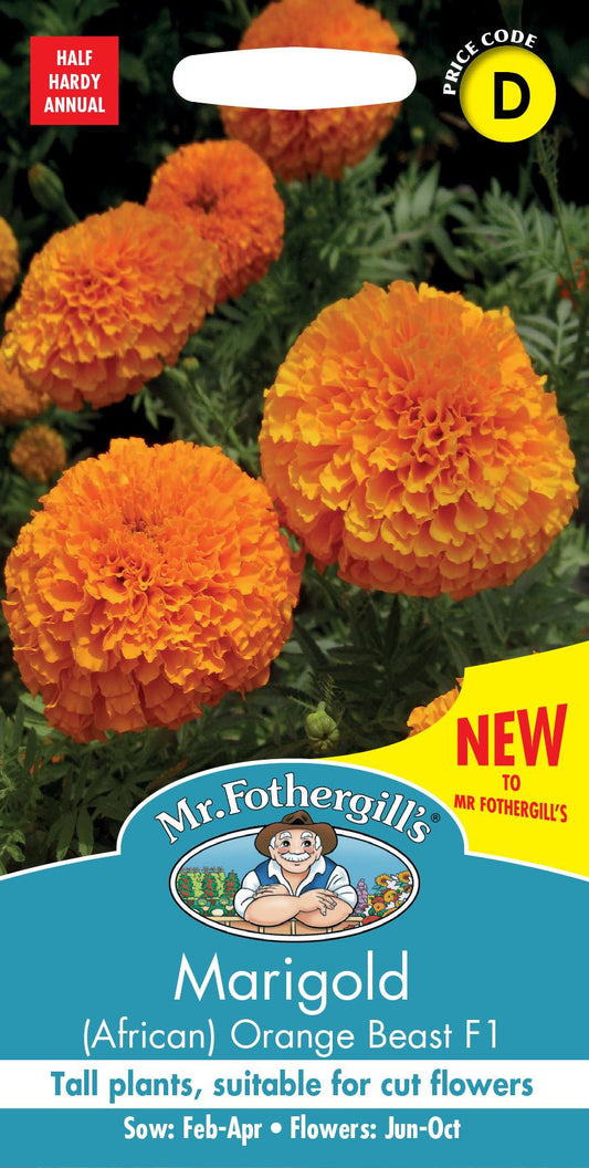 Mr Fothergills - Flower - Marigold (African) - Orange Beast F1 - 30 Seeds