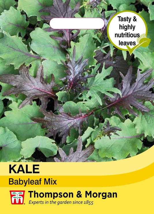 Thompson & Morgan Vegetable Kale Babyleaf Mix - 250 Seeds