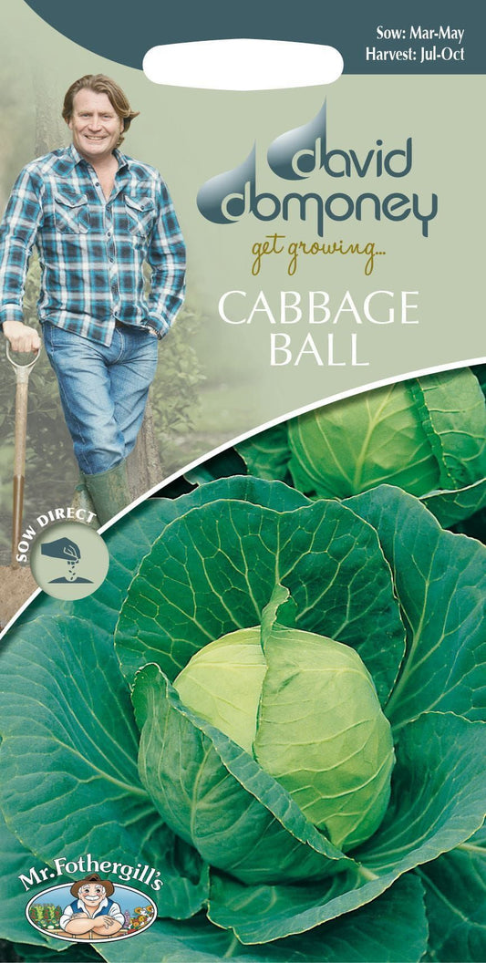 Mr Fothergills - David Domoney - Vegetable - Cabbage Ball - Golden Acre / Primo (II) - 500 Seeds
