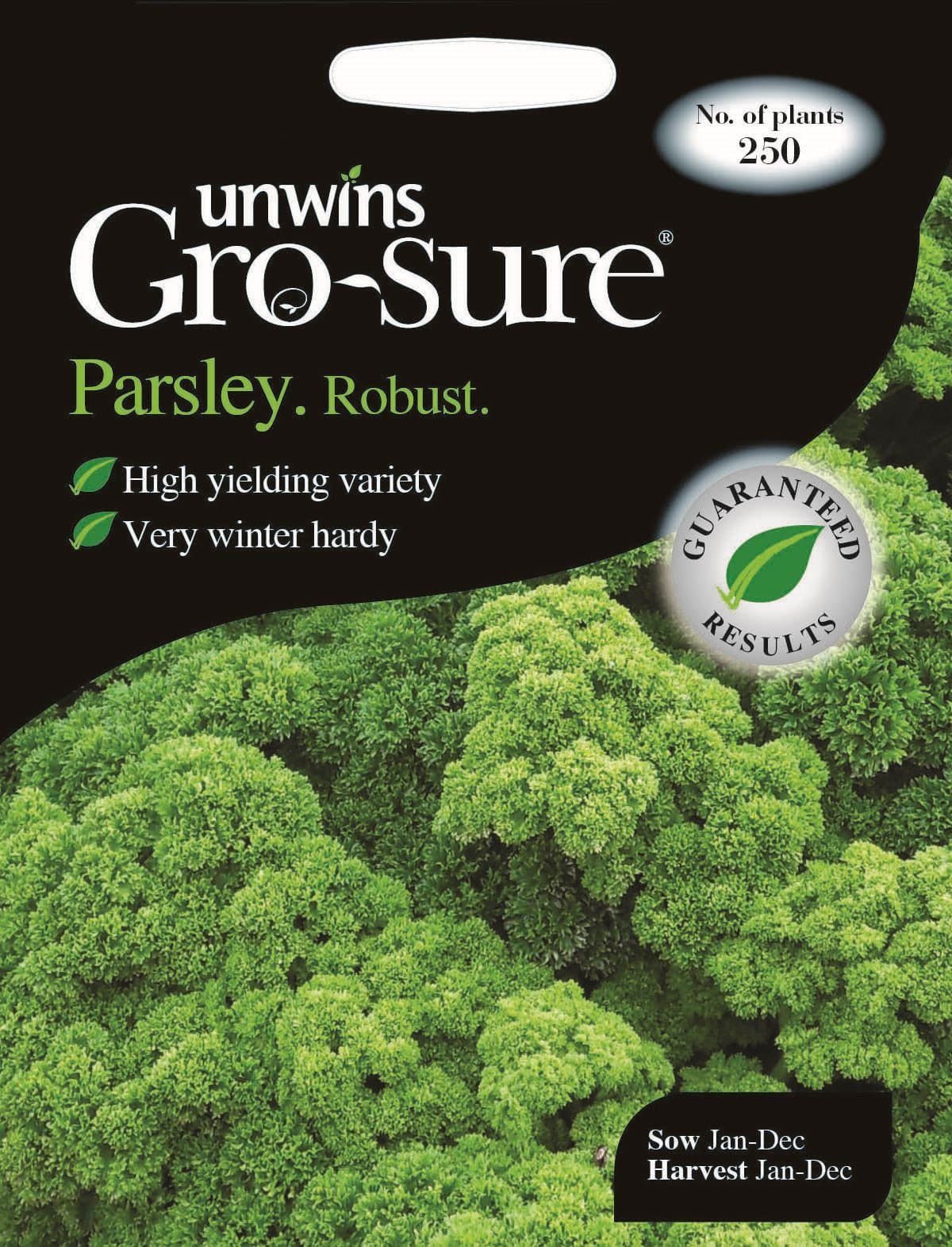 Unwins Parsley Robust 250 Seeds