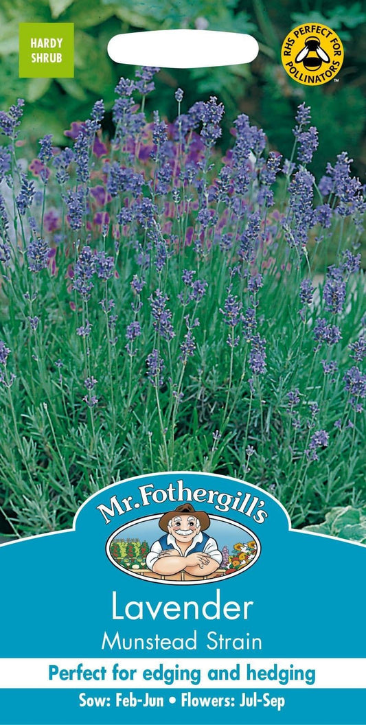 Mr Fothergills Lavender Munstead Strain 150 Seeds